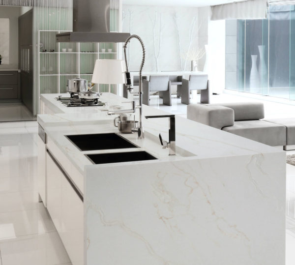 Rhinoceros White