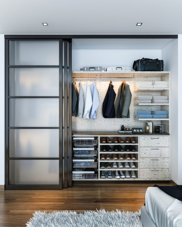 Modern Style Reach-in Closet